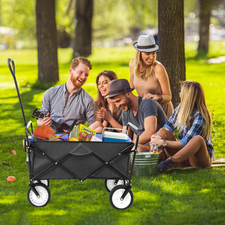 Beach wagon clearance camp cart
